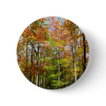 Fall Forest II Autumn Landscape Photography Button