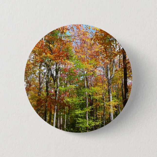 Fall Forest II Autumn Landscape Photography Button (Front)