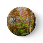Fall Forest II Autumn Landscape Photography Button