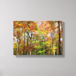 Fall Forest II Autumn Landscape Photography Canvas Print
