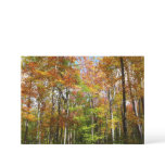 Fall Forest II Autumn Landscape Photography Card