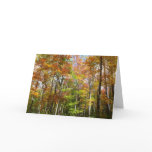 Fall Forest II Autumn Landscape Photography Card