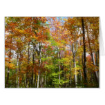 Fall Forest II Autumn Landscape Photography Card