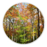 Fall Forest II Autumn Landscape Photography Ceramic Knob