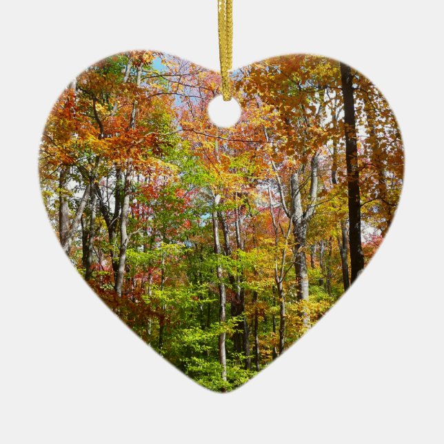 Fall Forest II Autumn Landscape Photography Ceramic Ornament (Front)