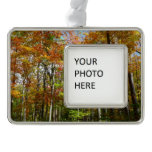 Fall Forest II Autumn Landscape Photography Christmas Ornament