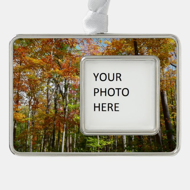 Fall Forest II Autumn Landscape Photography Christmas Ornament (Front)