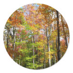 Fall Forest II Autumn Landscape Photography Classic Round Sticker