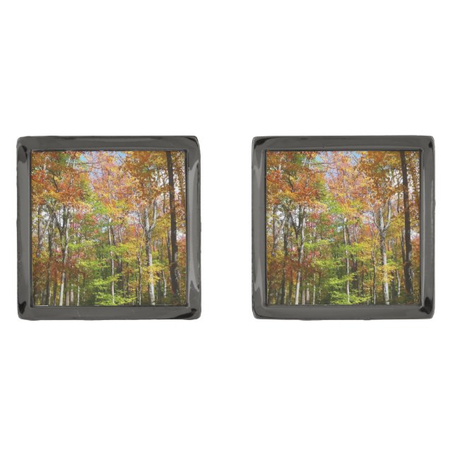 Fall Forest II Autumn Landscape Photography Cufflinks (Front)