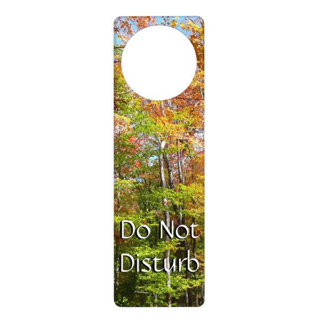 Fall Forest II Autumn Landscape Photography Door Hanger (Front)