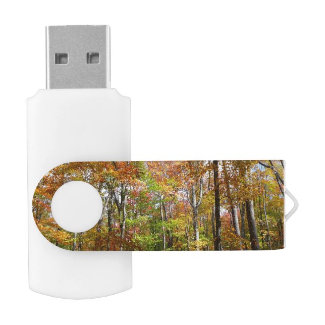 Fall Forest II Autumn Landscape Photography Flash Drive (Opened)