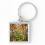 Fall Forest II Autumn Landscape Photography Keychain