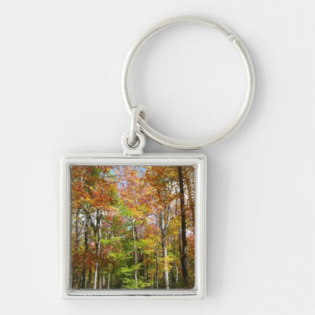 Fall Forest II Autumn Landscape Photography Keychain (Front)