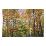 Fall Forest II Autumn Landscape Photography Kitchen Towel