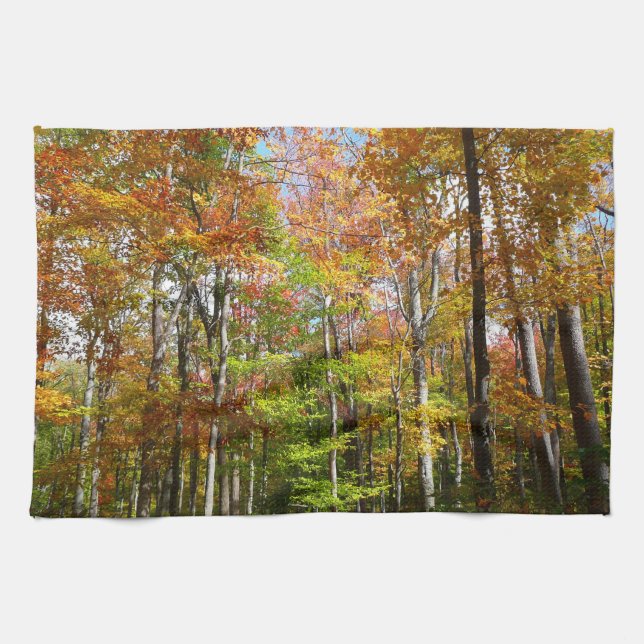 Fall Forest II Autumn Landscape Photography Kitchen Towel (Horizontal)