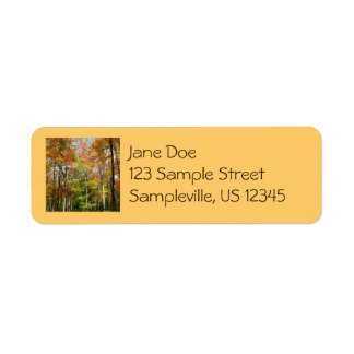 Fall Forest II Autumn Landscape Photography Label