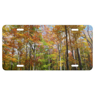 Fall Forest II Autumn Landscape Photography License Plate