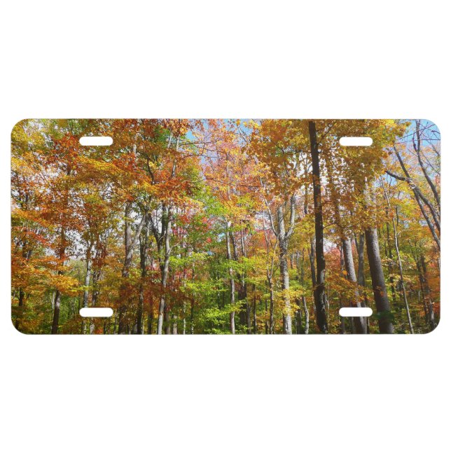 Fall Forest II Autumn Landscape Photography License Plate (Front)