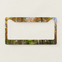 Fall Forest II Autumn Landscape Photography