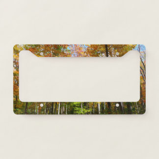 Fall Forest II Autumn Landscape Photography License Plate Frame