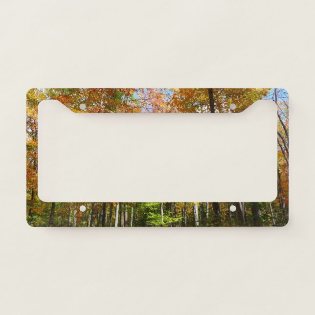 Fall Forest II Autumn Landscape Photography License Plate Frame (Front)