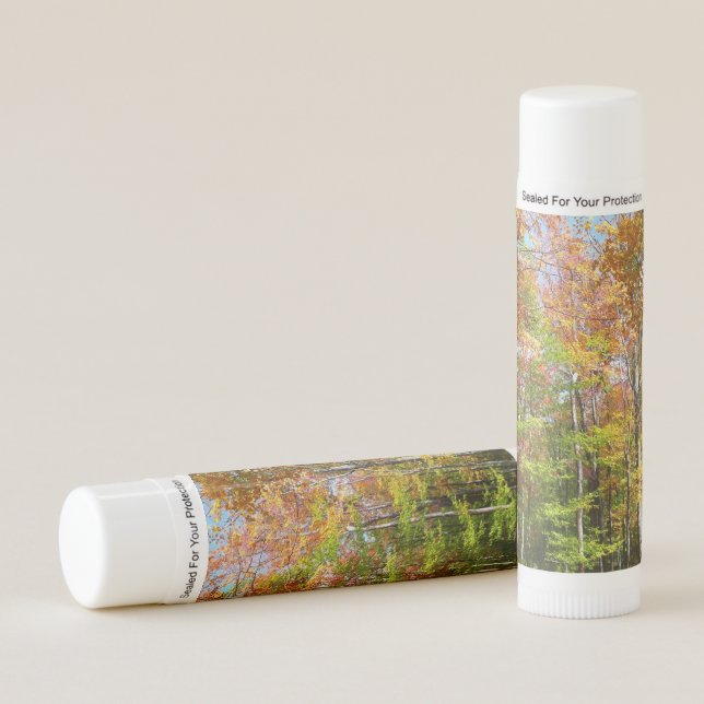 Fall Forest II Autumn Landscape Photography Lip Balm (Front)