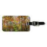 Fall Forest II Autumn Landscape Photography Luggage Tag