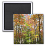 Fall Forest II Autumn Landscape Photography Magnet