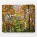 Fall Forest II Autumn Landscape Photography Mouse Pad