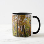 Fall Forest II Autumn Landscape Photography Mug