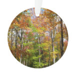 Fall Forest II Autumn Landscape Photography Ornament