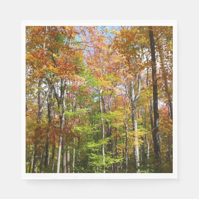 Fall Forest II Autumn Landscape Photography Paper Napkins (Front)