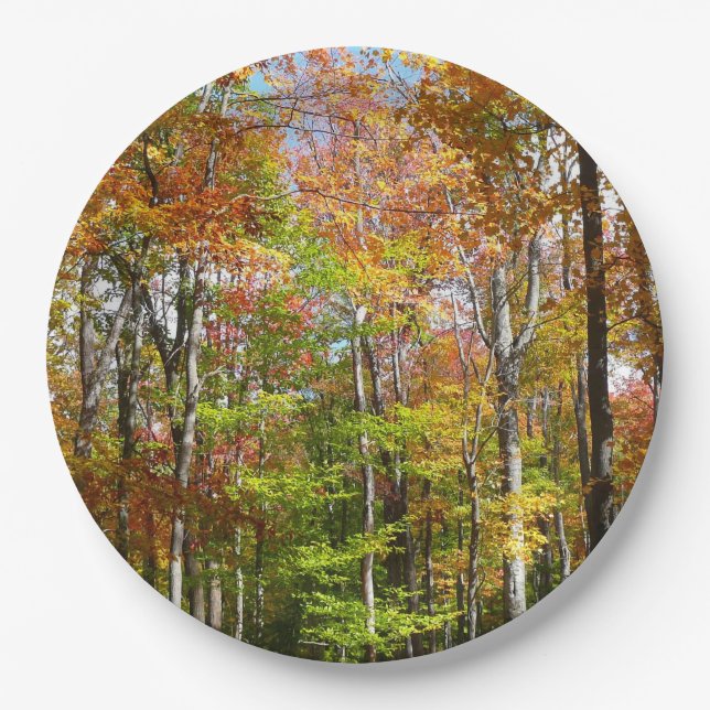 Fall Forest II Autumn Landscape Photography Paper Plates (Front)