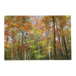 Fall Forest II Autumn Landscape Photography Placemat