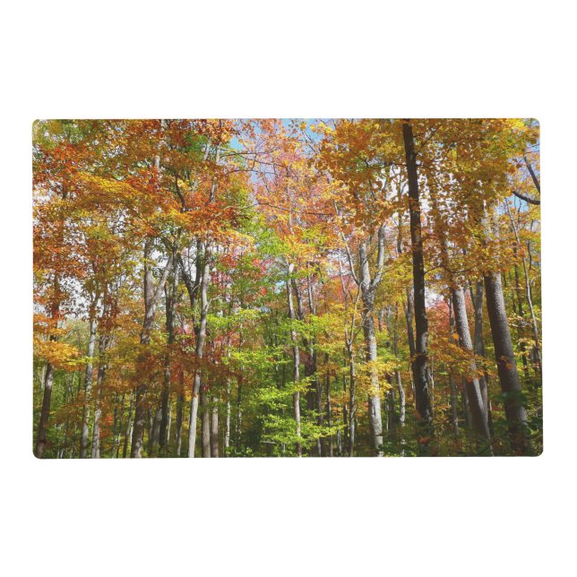 Fall Forest II Autumn Landscape Photography Placemat (Front)