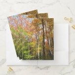 Fall Forest II Autumn Landscape Photography Pocket Folder