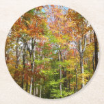Fall Forest II Autumn Landscape Photography Round Paper Coaster