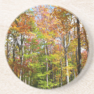 Fall Forest II Autumn Landscape Photography Sandstone Coaster