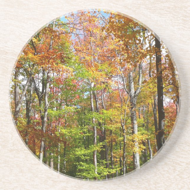 Fall Forest II Autumn Landscape Photography Sandstone Coaster (Front)