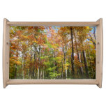 Fall Forest II Autumn Landscape Photography Serving Tray