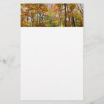 Fall Forest II Autumn Landscape Photography Stationery