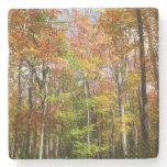 Fall Forest II Autumn Landscape Photography Stone Coaster