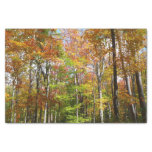Fall Forest II Autumn Landscape Photography Tissue Paper