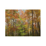 Fall Forest II Autumn Landscape Photography Wood Poster