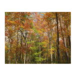 Fall Forest II Autumn Landscape Photography Wood Wall Decor