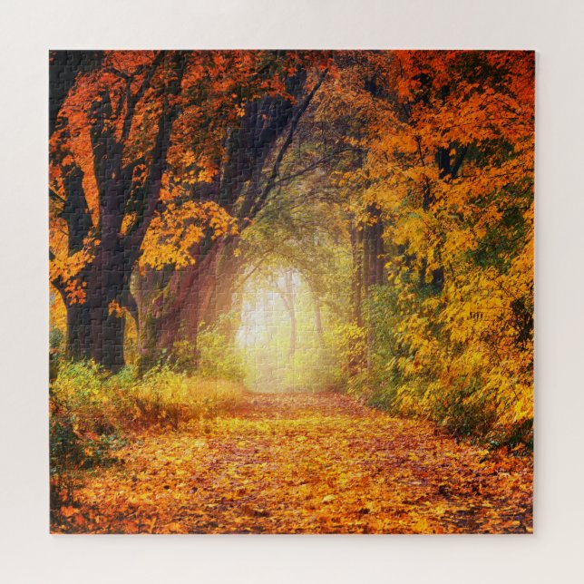 Fall forest sunlight landscape 20" x 20" jigsaw puzzle (Horizontal)