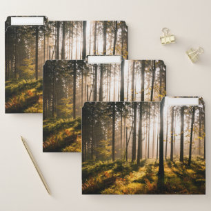 Fall Forest with Sunrays File Folder
