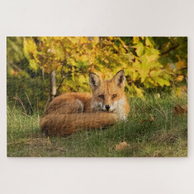 Fall Fox    Jigsaw Puzzle (Horizontal)