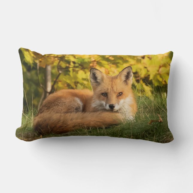 Fall Fox      Lumbar Pillow (Front)