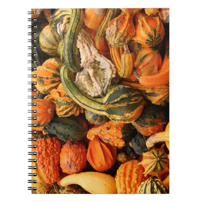 Fall Gourd Background Notebook (Front)